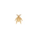 Złoty pin żuk z kolekcji Insekty