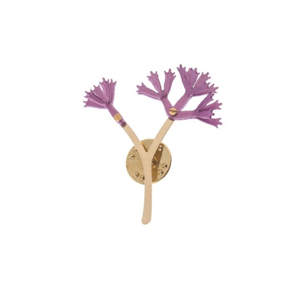 PLB24-Plantis-pin-ORSKAbizuteria_2