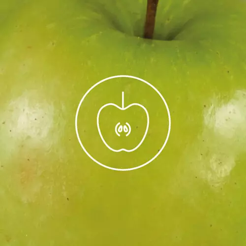 Wegańskie torebki z kolekcji Vivo zostały wykonane z skór owocowych i roślinnych, w tym Appleskin - skóry z jabłka - co potwierdza certyfika PETA Vegan Approved