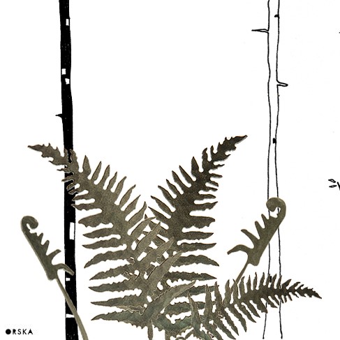 Nefro - Pteridomania Ani Orskiej