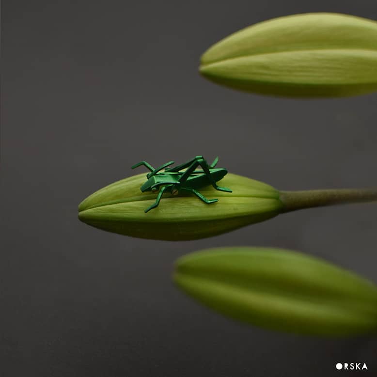 Insekty - jesienna kolekcja ORSKIEJ